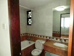 The Anchorage (D3), Condominium #582393211